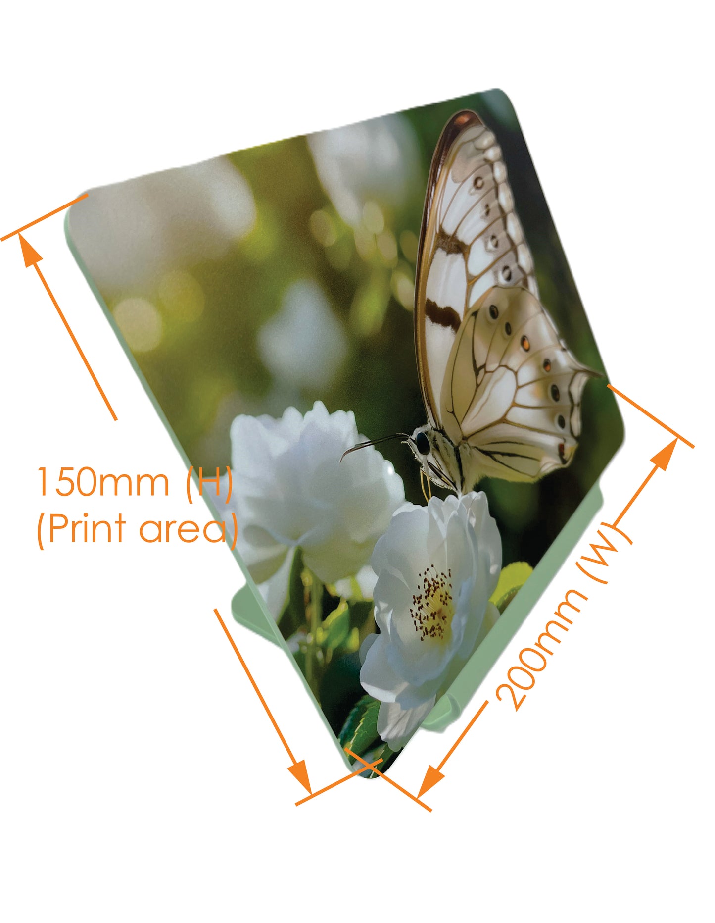 landscape photo stand size